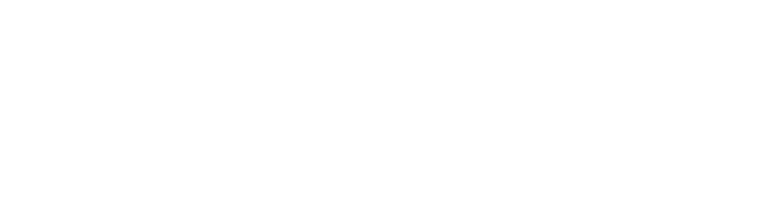 Leaders Rising Network